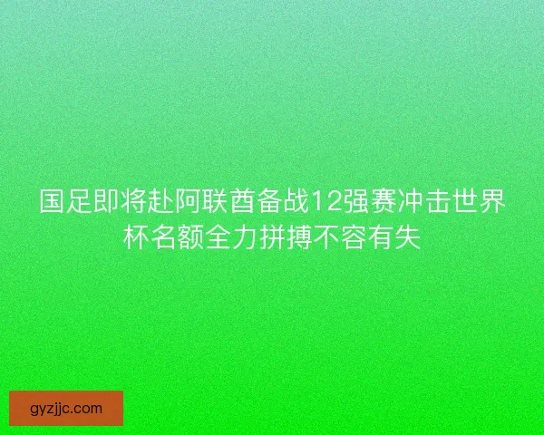 国足即将赴阿联酋备战12强赛冲击世界杯名额全力拼搏不容有失